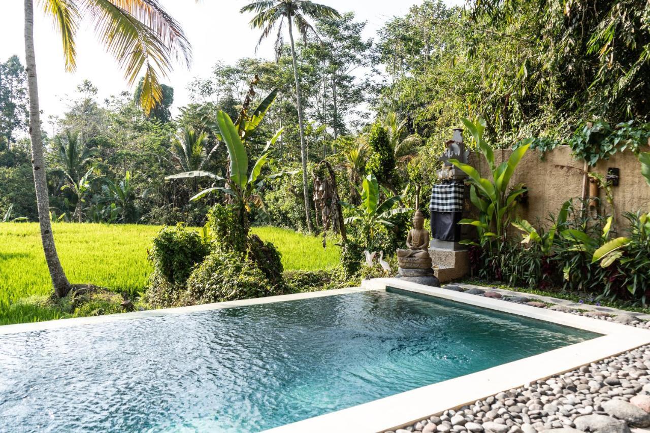 Bali Bamboo Jungle Huts And Hostel Tampaksiring ภายนอก รูปภาพ
