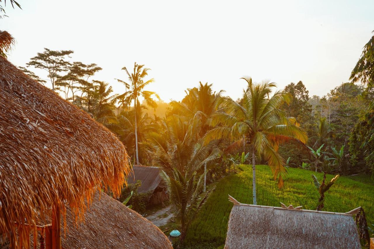 Bali Bamboo Jungle Huts And Hostel Tampaksiring ภายนอก รูปภาพ