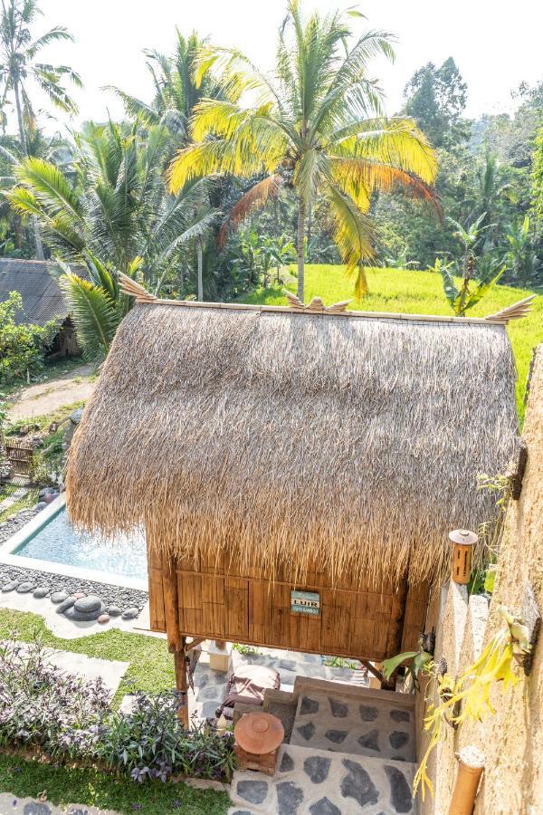 Bali Bamboo Jungle Huts And Hostel Tampaksiring ภายนอก รูปภาพ