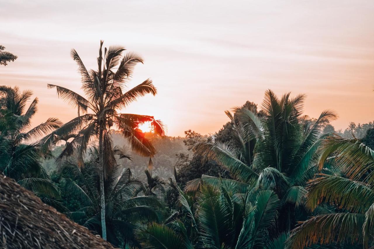 Bali Bamboo Jungle Huts And Hostel Tampaksiring ภายนอก รูปภาพ